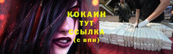 гашик Алзамай