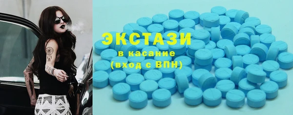 мет Алексин