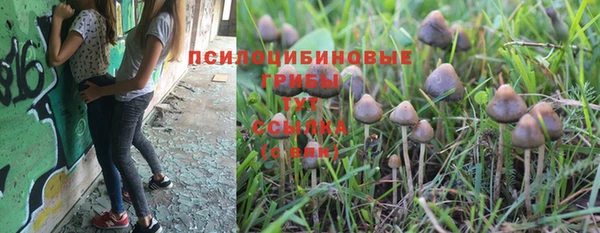 мет Алексин