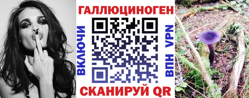 Псилоцибиновые грибы MAGIC MUSHROOMS где купить наркотик Изобильный