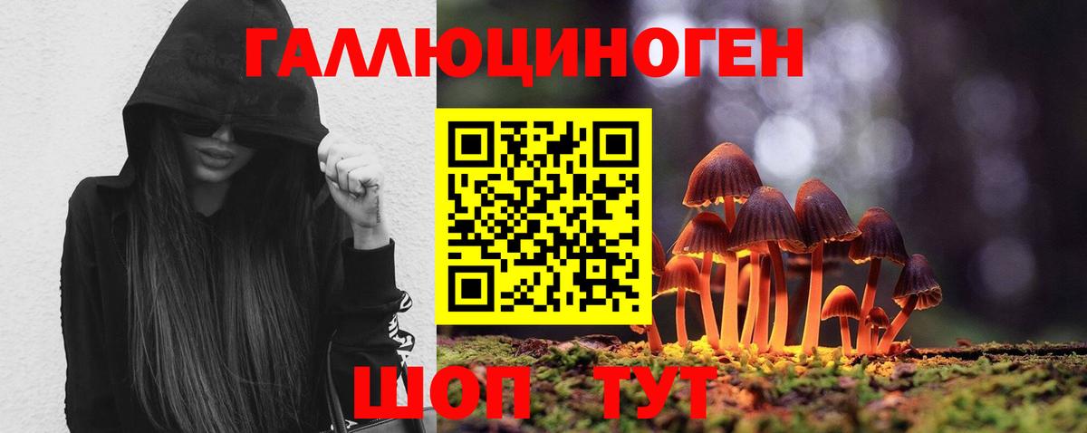 Псилоцибиновые грибы мицелий Изобильный